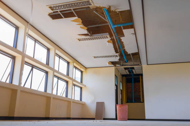 Carpet water damage restoration in LA