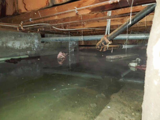 Best Water damage restoration company  in Bogalusa, LA