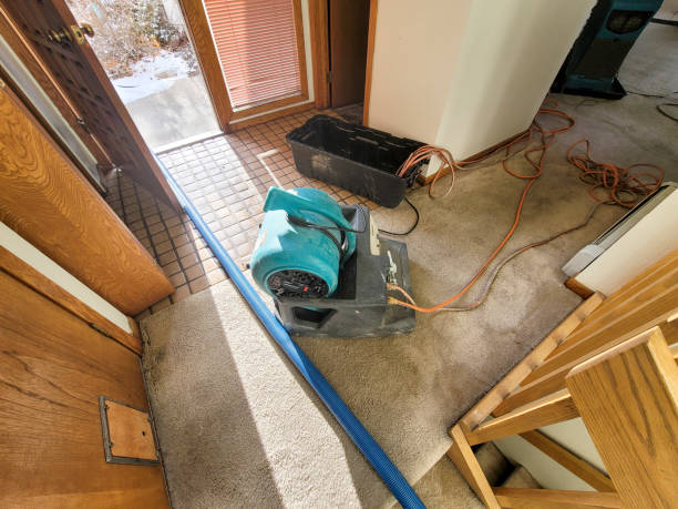 Best 24-hour water damage restoration  in Bogalusa, LA