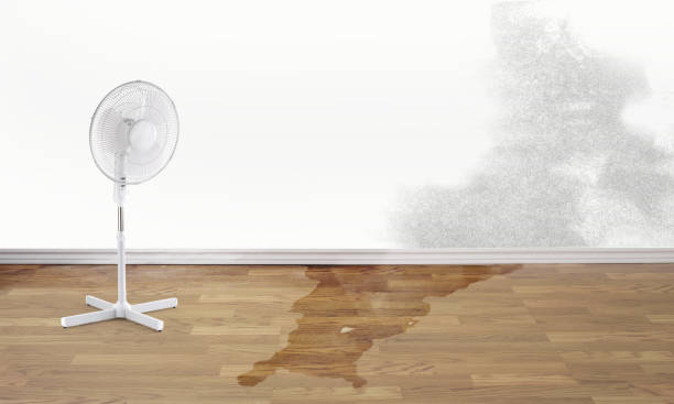 Best Fire Damage Restoration  in Bogalusa, LA