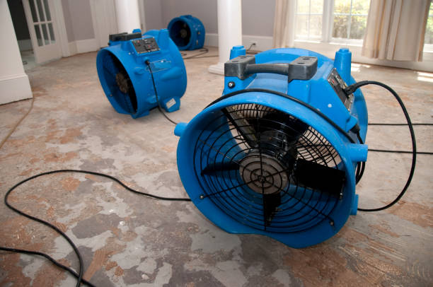 Best Sewage cleanup and water damage restoration  in Bogalusa, LA