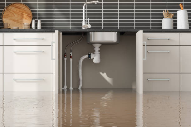 Best Water damage restoration process  in Bogalusa, LA