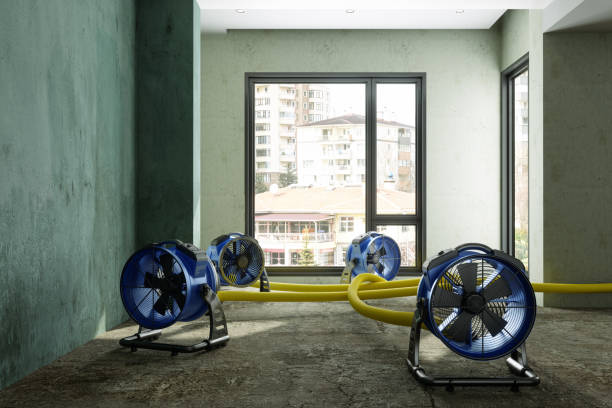 Best Basement water damage restoration  in Bogalusa, LA