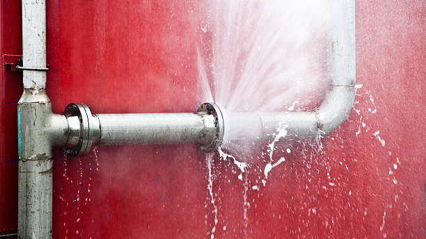 Best Water damage cleanup near me  in Bogalusa, LA